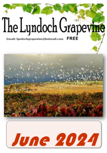 the-lyndoch-grapevine-south-australia-community-newsletter