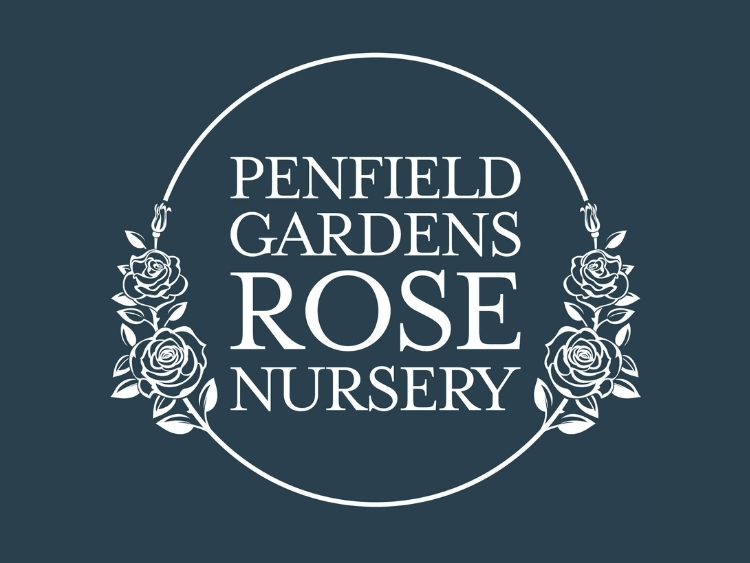 Penfield-Rose-Nursery-Southern-Barossa